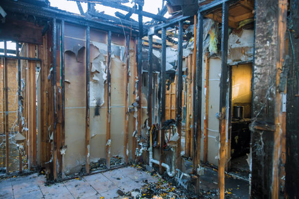 Professional Fire Damage Removal technician working in Columbus, TX